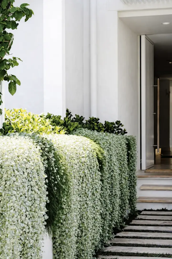 PJR Landscaping & Design — Feature Planting Wall