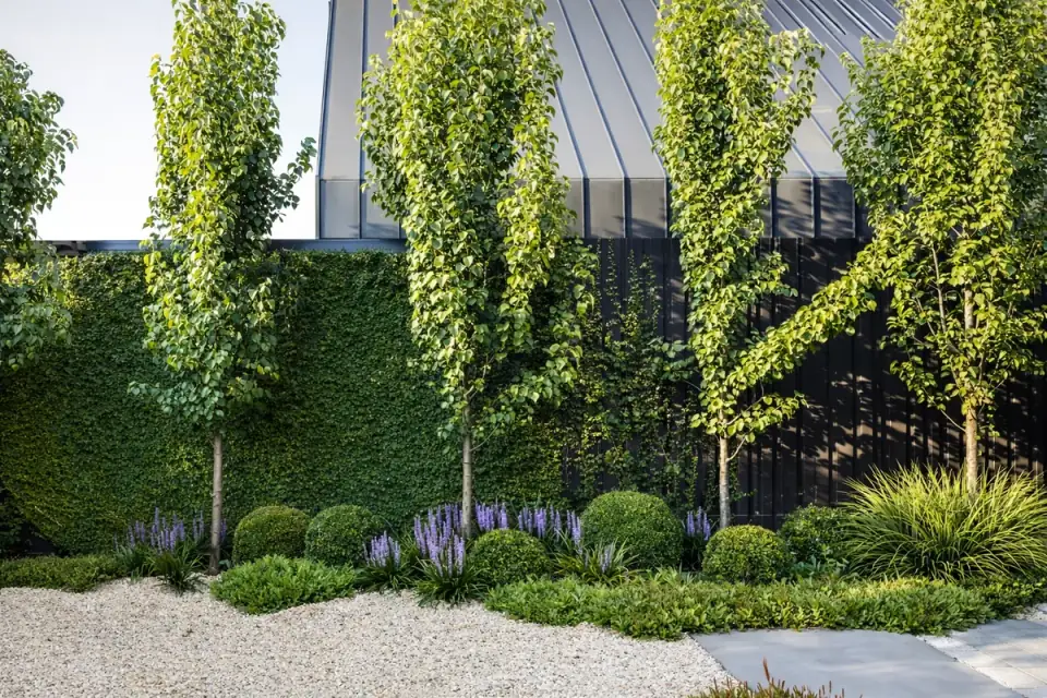 Backyard landscape renovation Melbourne