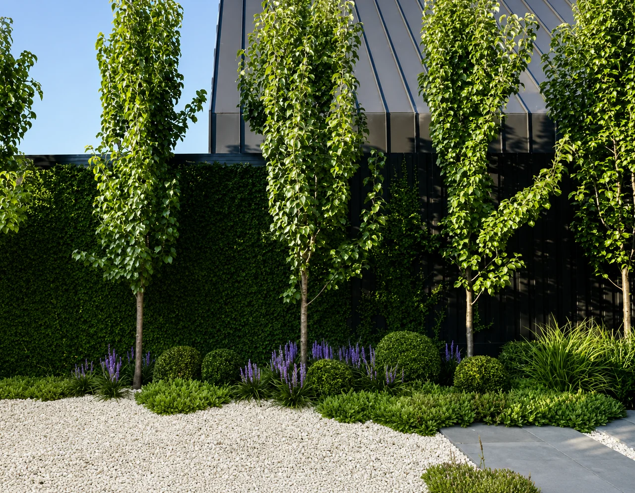 Ornamental pear screening in a Toorak garden with clipped hedging, layered flowering plants, pale gravel and a paved path
