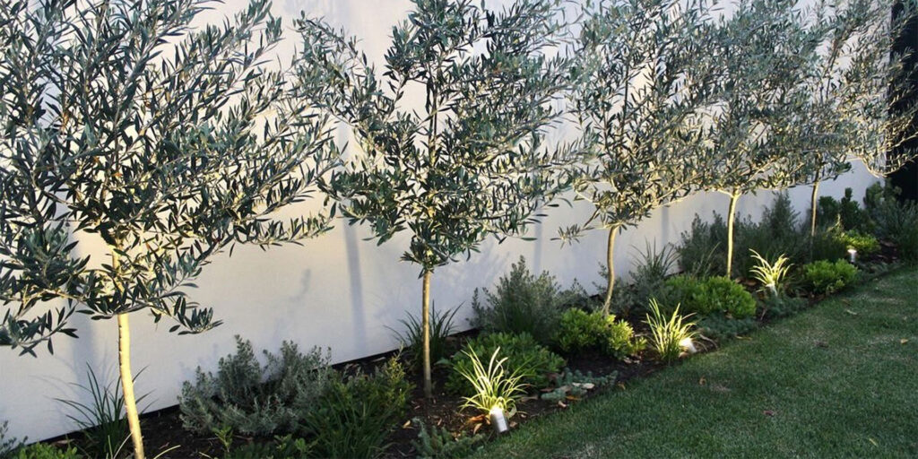 Landscape Design Melbourne PJR Garden Consultants